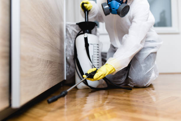 Best Rat Extermination Near Me  in Elk River, MN