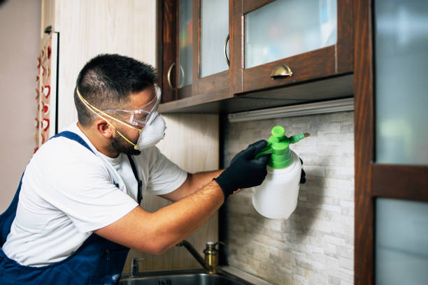 Best Cockroach Control Services  in Elk River, MN