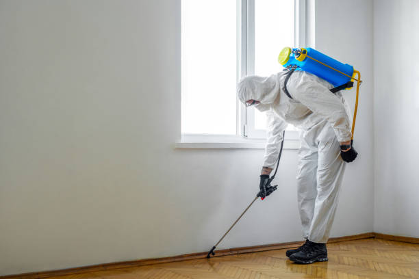 Best Pest Removal Services  in Elk River, MN