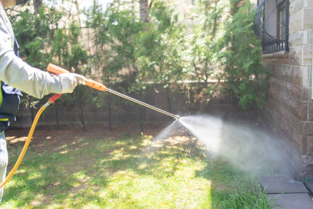 Best Mosquito Control Services  in Elk River, MN