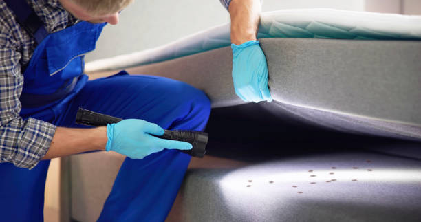 Best Pest Prevention Services  in Elk River, MN
