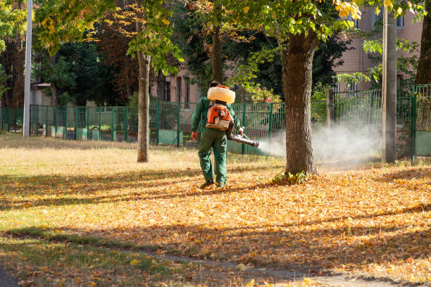 Best Bird Control  in Elk River, MN