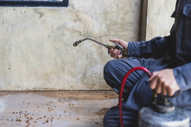 Best Affordable Pest Control Services  in Elk River, MN